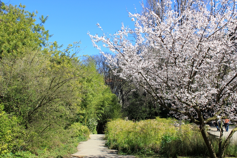 It’s springtime – take a walk in the Gulbenkian Park!