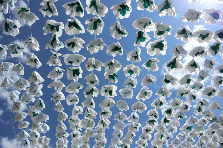 Flower's festival in Alentejo Portugal