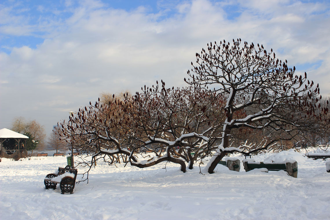 Dreaming of a white Christmas in Romania…