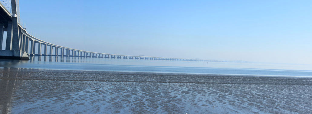 Under the bridge (Vasco da Gama bridge)