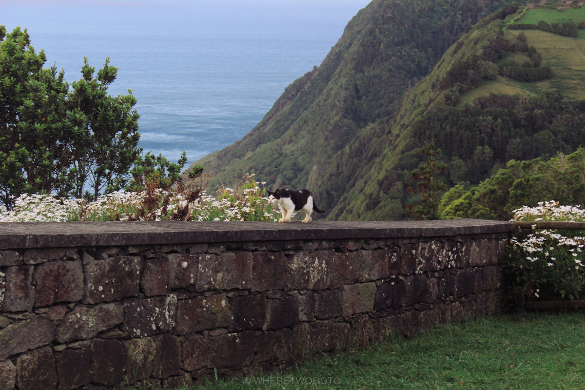 A short guide to São Miguel Island Where Two Go To-100