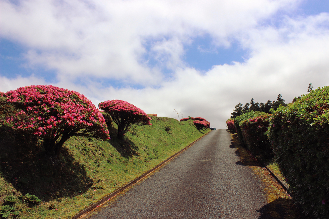 A short guide to São Miguel Island Where Two Go To-136