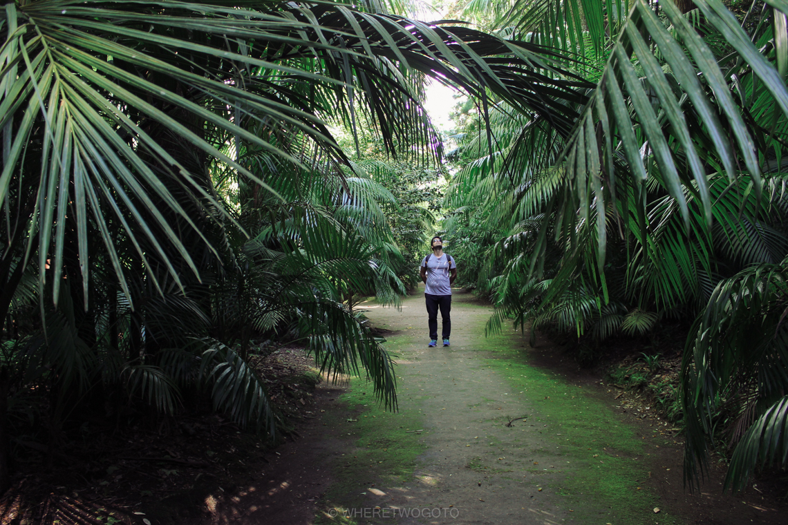 A short guide to São Miguel Island Where Two Go To-181