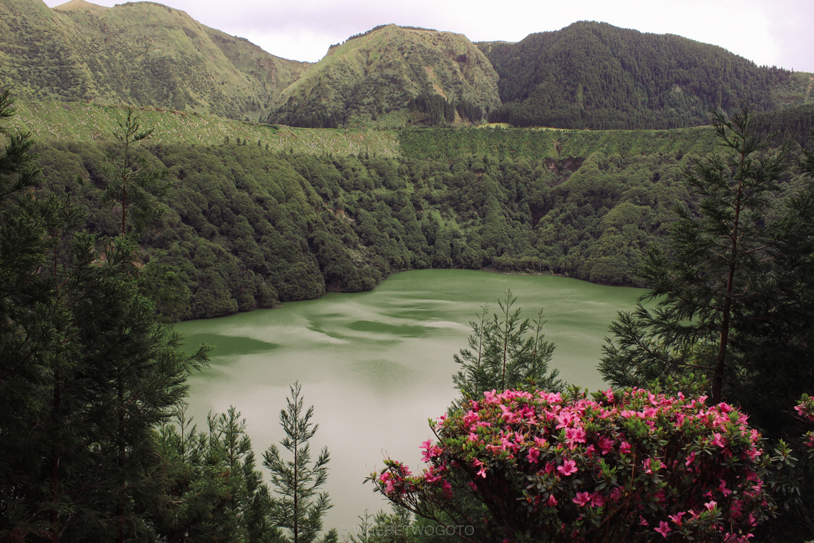 A short guide to São Miguel Island Where Two Go To-23