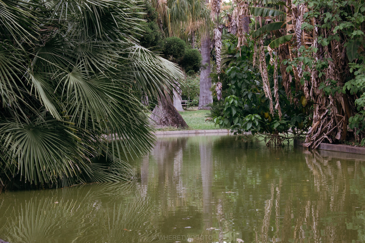 The Tropical Botanical Garden of Lisbon: a hidden green pearl in Belem