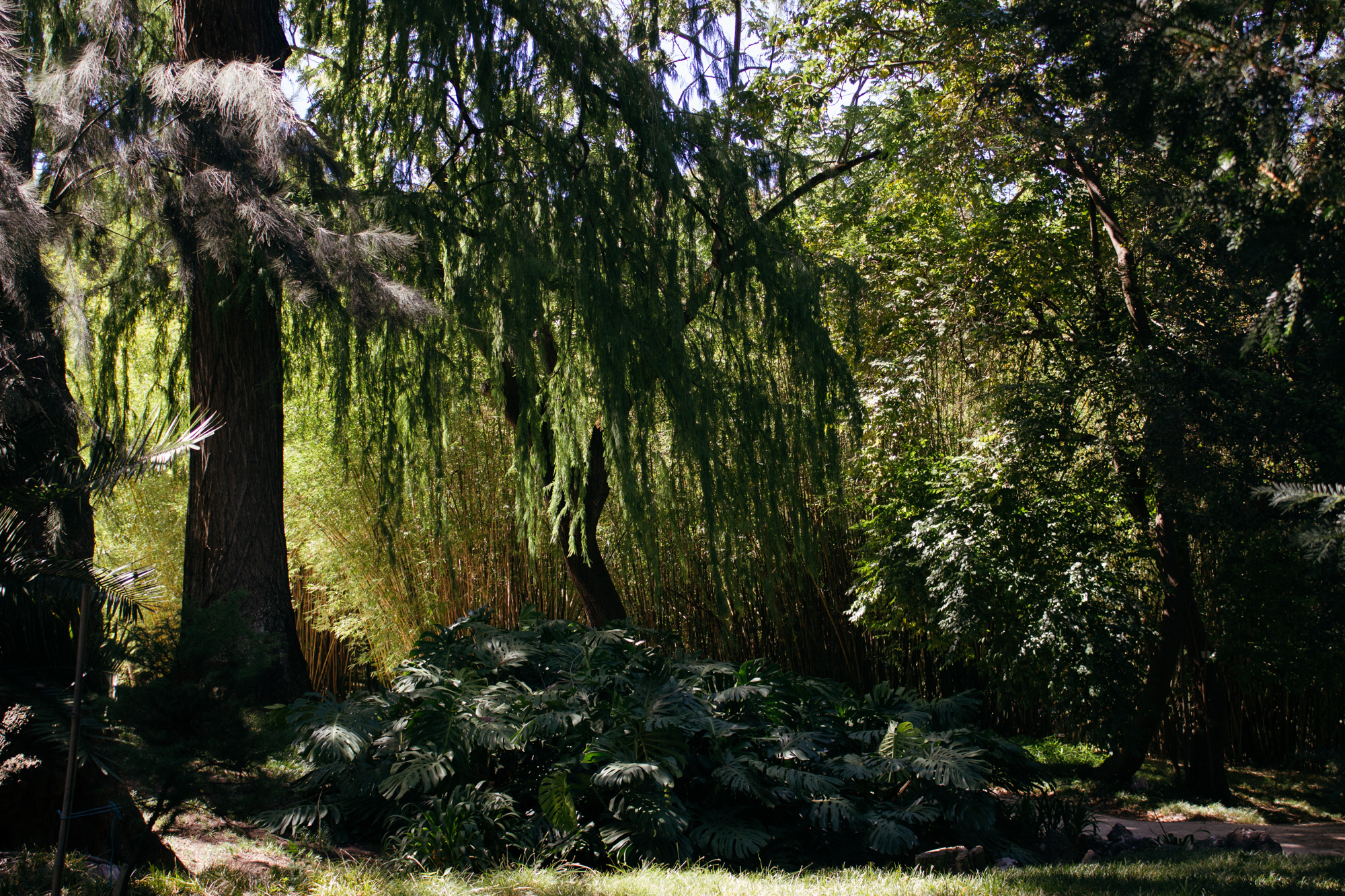 Wind down in the Botanical Garden of Principe Real