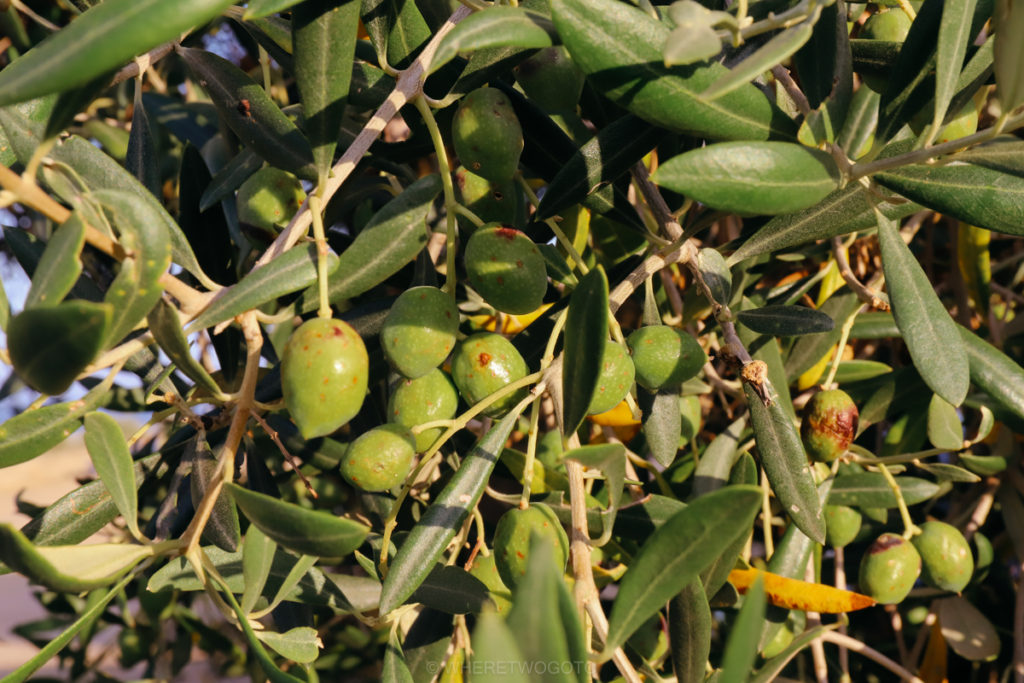 Cacela Velha Algarve Portugal